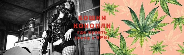 спиды Магас