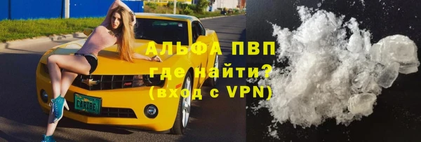 спиды Магас