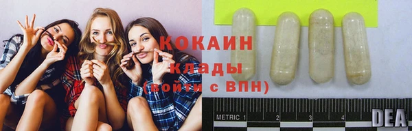 спиды Магас