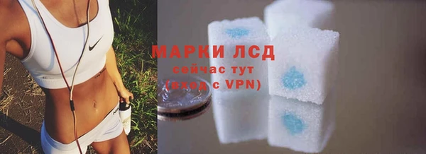 спиды Магас