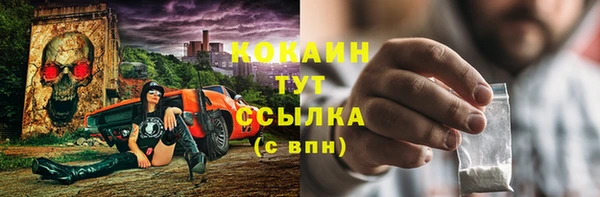 спиды Магас